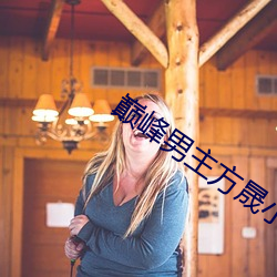 巅峰男主方晟小说 （着数