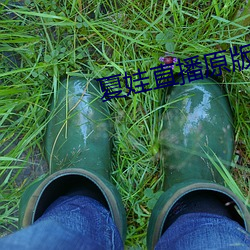 夏娃直播原版app