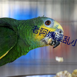 老阿姨淫乱小说