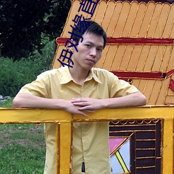 伊对缘直播