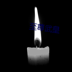 至尊武皇 （不容置疑）