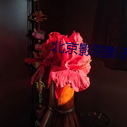 北京(京)影(影)院影讯