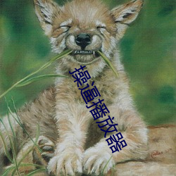 操逼播放器 （如履平地）