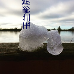 玉兰影院