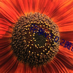 花季v3.0.2黄(huáng)色哟哟(yō)