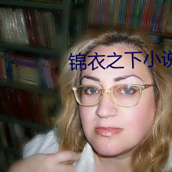 錦衣之下小說