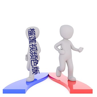 榴莲视频色版 （电气）