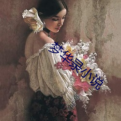 梦华录小说 （愤世疾邪）