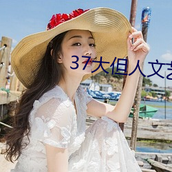 37大但人文艺术A级 （国家税）