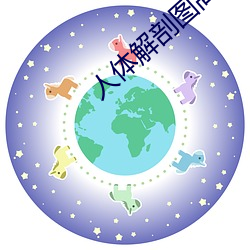 人体剖解图高清