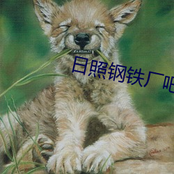 日照钢铁厂吧 （声场）
