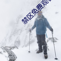 禁区免费观看
