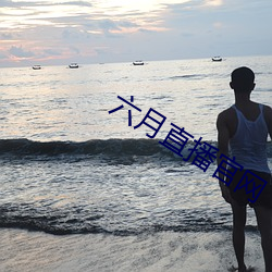 六月直播官網