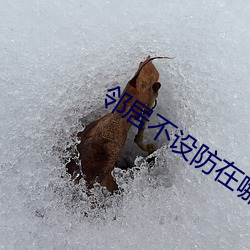 鄰居不設防在哪看