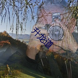 升龙道