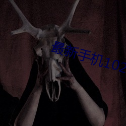 最新手机1024