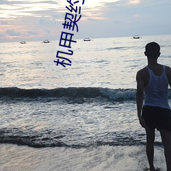 机甲契约奴隶