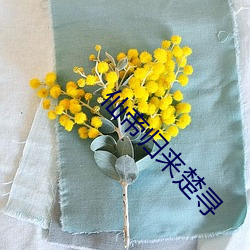 仙帝归来楚寻