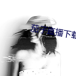 茄子(zi)直播下载(zài)
