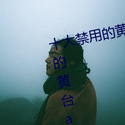 十大禁用的黄台app苹果:十大禁用的黄台app苹果无限观看