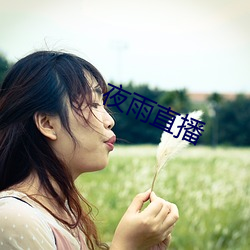 夜雨直播