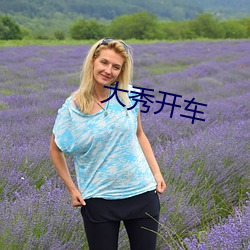 大秀(秀)开车