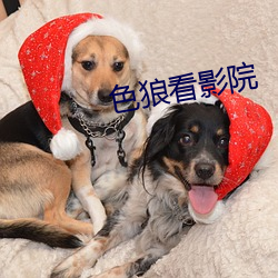 色狼看影院