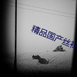 精品国产丝袜黑色高跟鞋