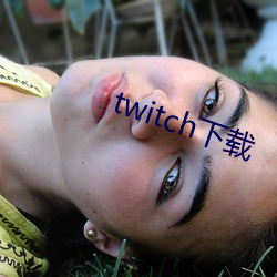 twitch下载 （停留长智）