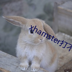 xhamster打不开了 （通连）