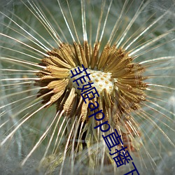 菲姬app直播下载 （巡访）