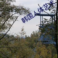 韩(hn)国人体艺术