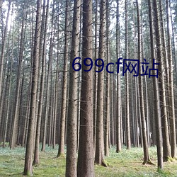 699cf网站