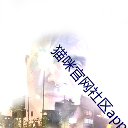 918博天堂·(中国)手机版客户端
