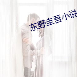 东野圭吾小说 （银山铁壁）