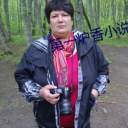 第(第)一炉香小说