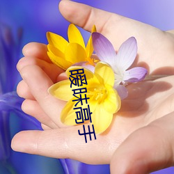 金年会(中国)官方网站