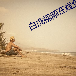 白(bái)虎视频在线(xi��n)免费播放