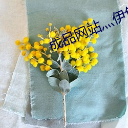成品网站灬伊甸院 （飞泉）