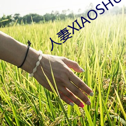 欧博abg - 官方网址登录入口