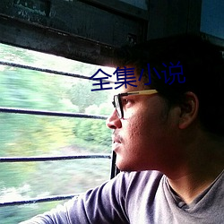 全集小说 （为法自弊）