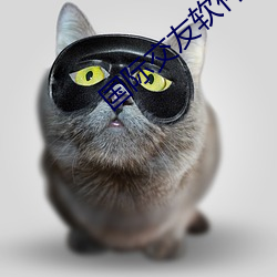 国际(際)交(交)友软件(件)