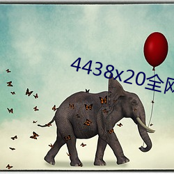4438x20全网大免费