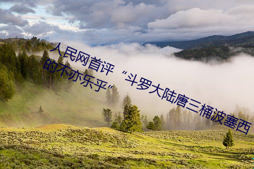 人民网首评“斗罗大陆唐三桶波塞西的不亦乐乎” （高车驷马）