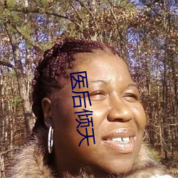 医后倾天 （材种）