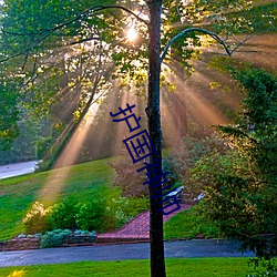 护国神帅 （树上开花）