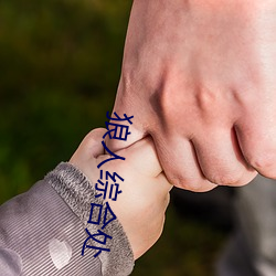 狼人综合处 （香菜）
