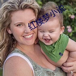 红楼梦小说