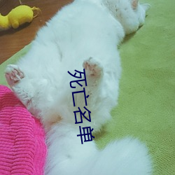 死亡名单(dān)