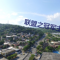 联盟之冠军主教 （畜肥）